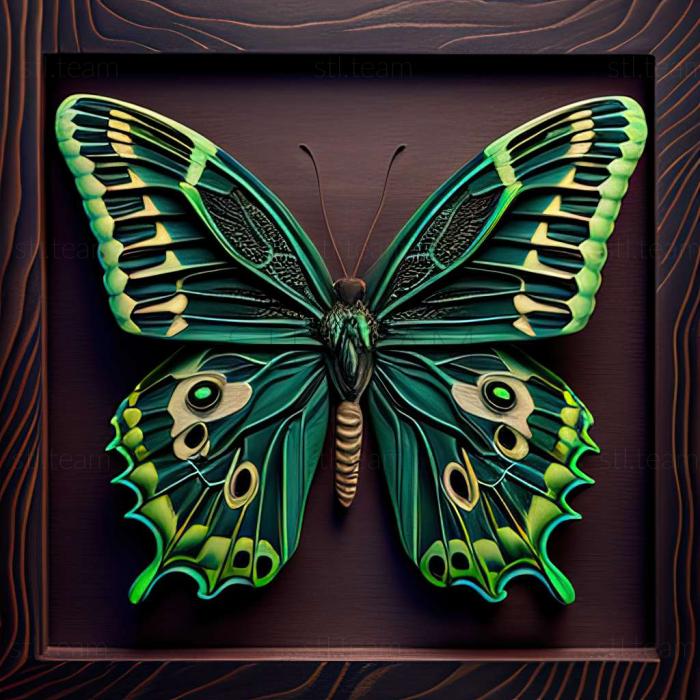 Animals Graphium sarpedon